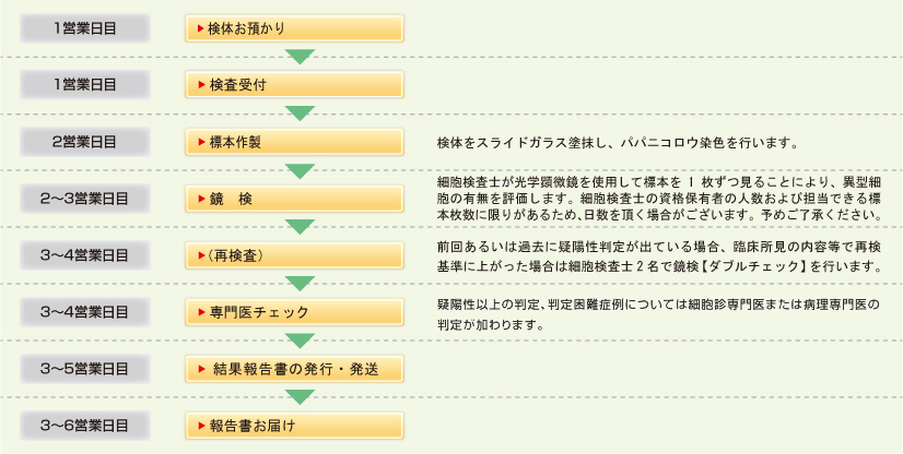 細胞診チャート図